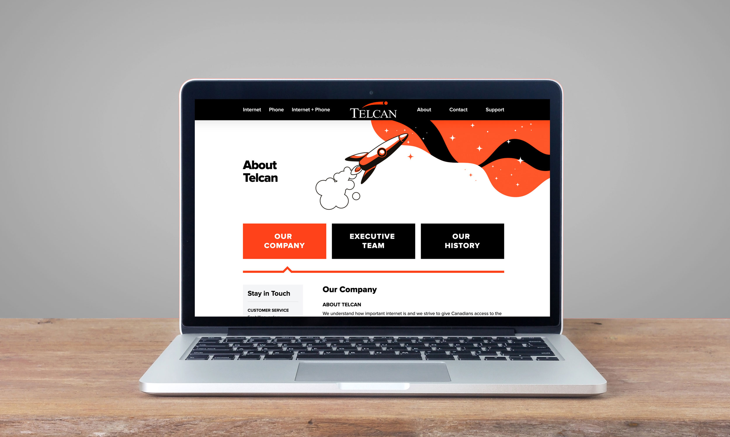 Website Design & Development – Telcan Communications